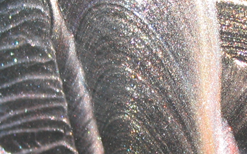 tcl1