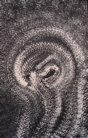 Monocolor Manifestations - 15