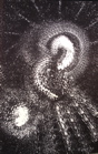 Monocolor Manifestations - 12
