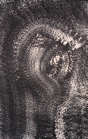 Monocolor Manifestations - 11
