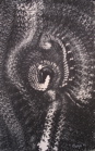 Monocolor Manifestations - 14