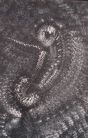 Monocolor Manifestations - 19