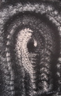Monocolor Manifestations - 16