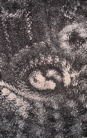 Monocolor Manifestations - 21