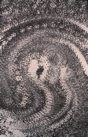 Monocolor Manifestations - 20