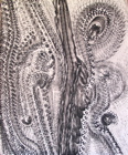 Monocolor Manifestations - 02